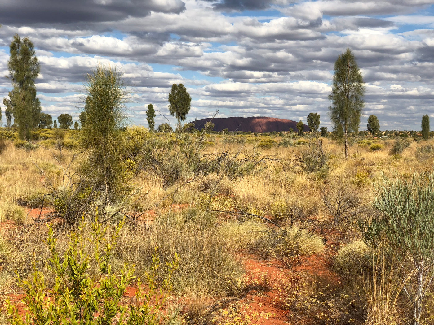 Adventures to Ernabella